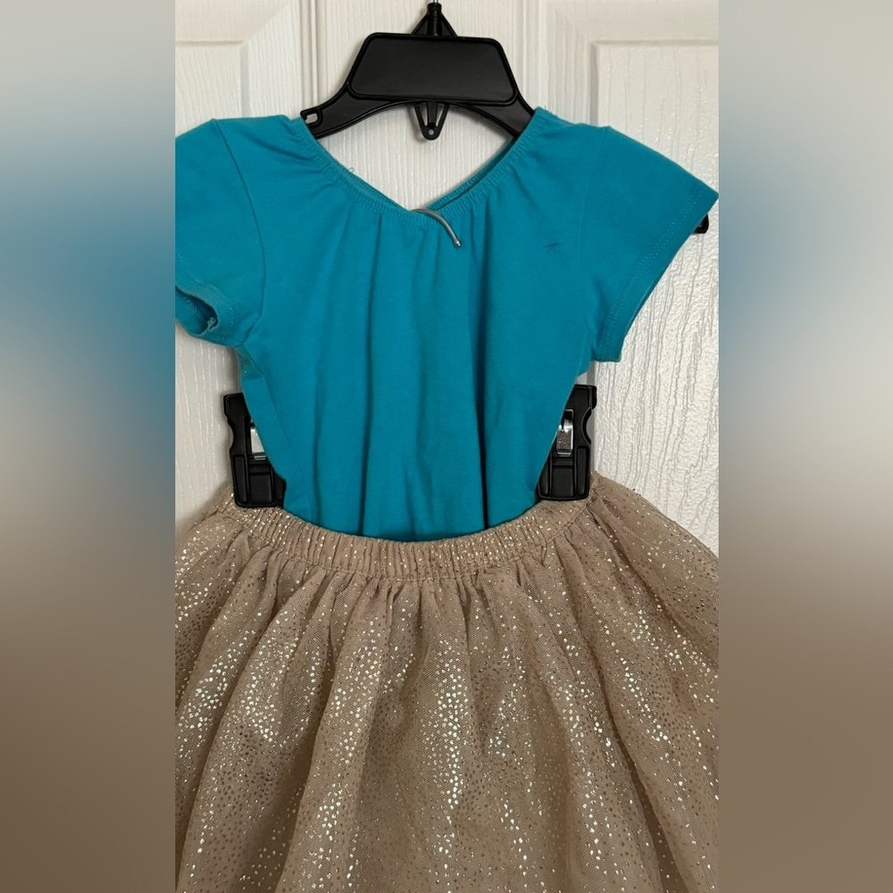 Dance skirt and leotard/ Halloween costume